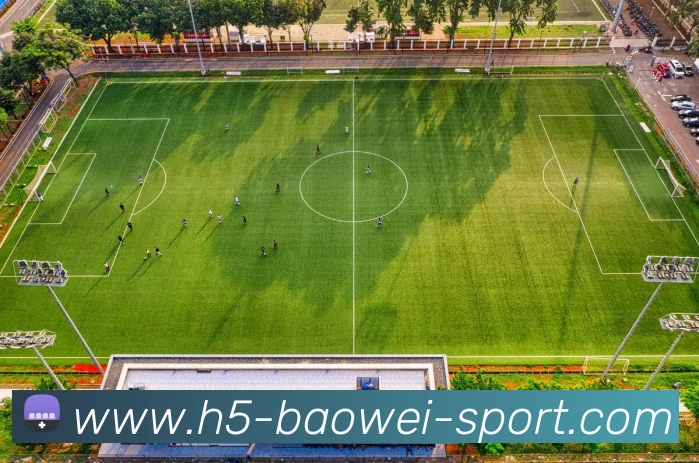 App Interface Preview