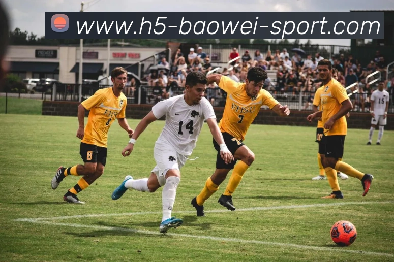 宝威体育APP 封面图